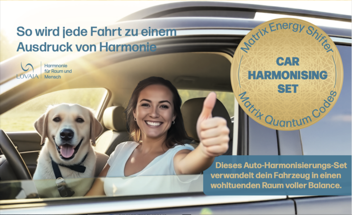 Auto-Harmonisierungs-Set mit Matrix-Quantum-Codes